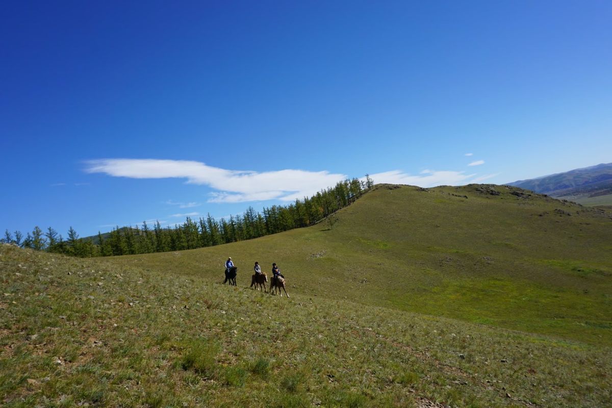 広すぎて大きすぎて、かっこよすぎた大地。
気持ちよく進んでくれた馬もありが...