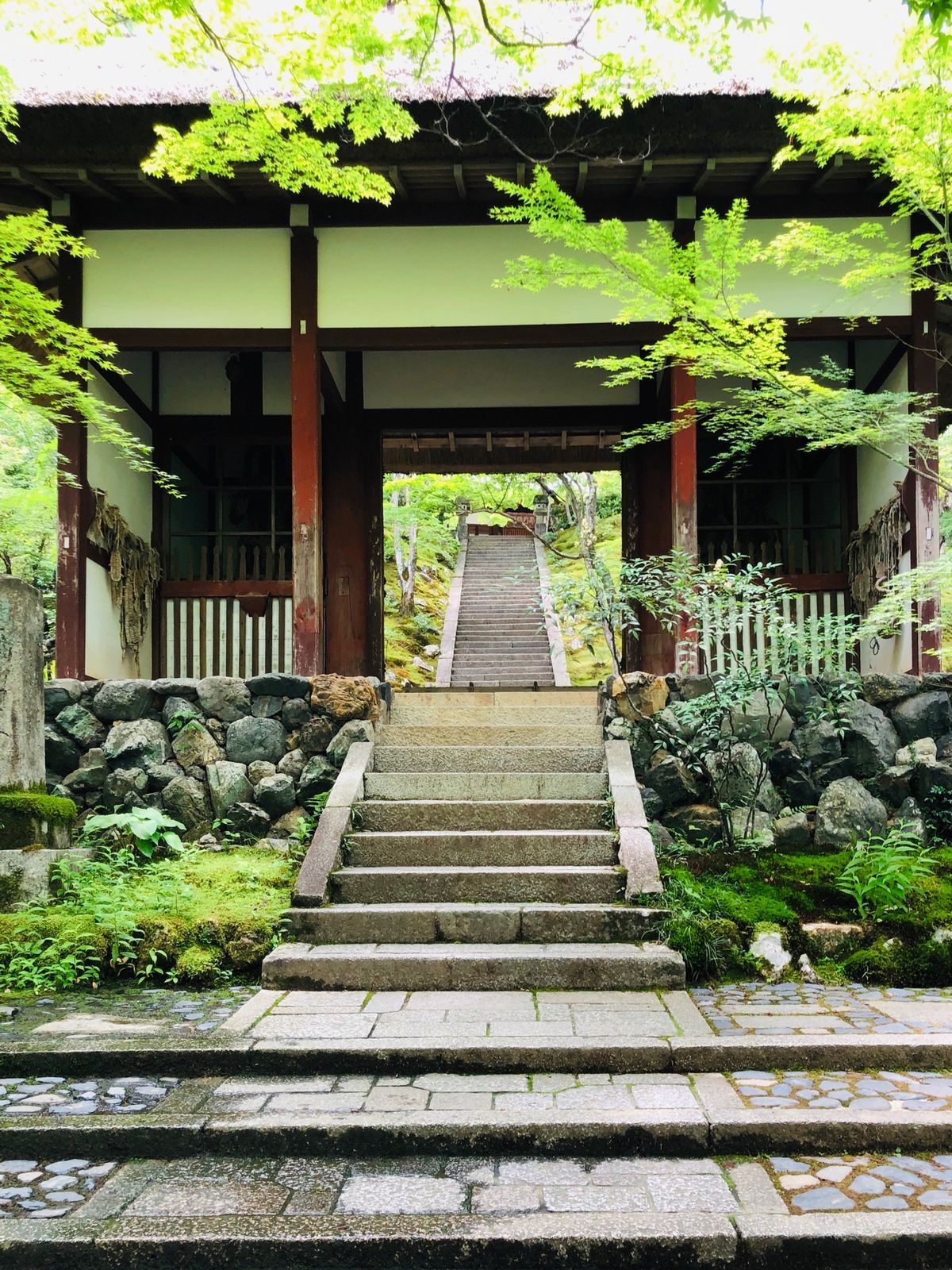 渡月橋〜常寂光寺〜竹林〜天龍寺

どこも人少なめ！