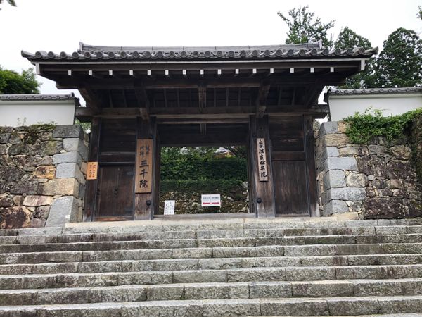 日本・京都「大原三千院」の写真