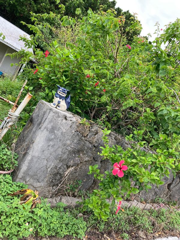 日本・石垣島「石垣島」の写真：朝一の黒島