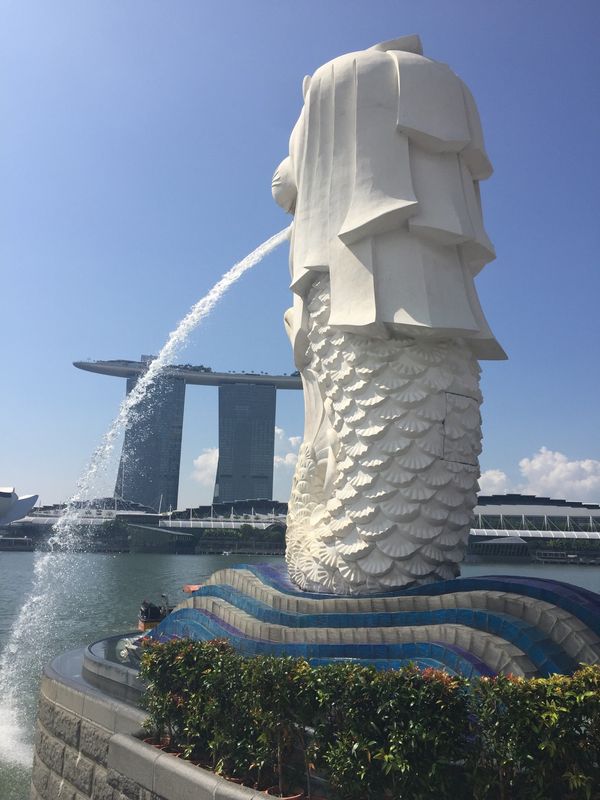 シンガポール・シンガポール「シンガポール」の写真：何回行っても好きな街。
