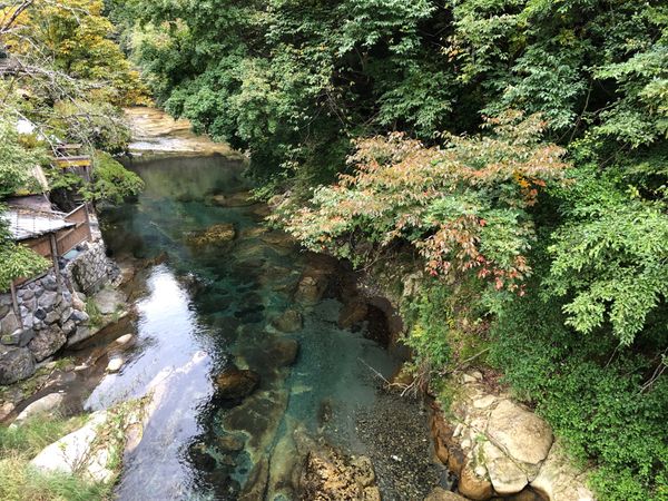 日本・日光「栃木県　湯西川温泉」の写真：平氏縁の宿で温泉三昧。鬼怒川温泉駅でSL発見。
