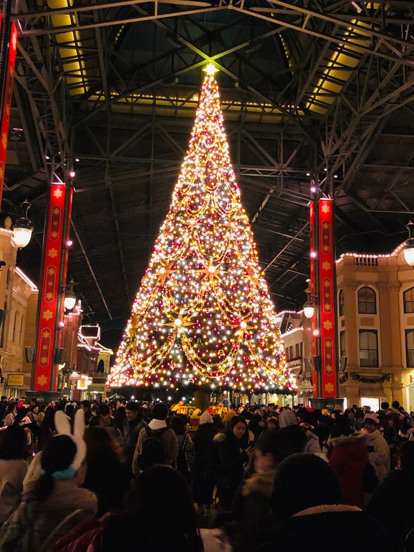 日本・舞浜「東京ディズニーランド&東京ディズニーシー」の写真