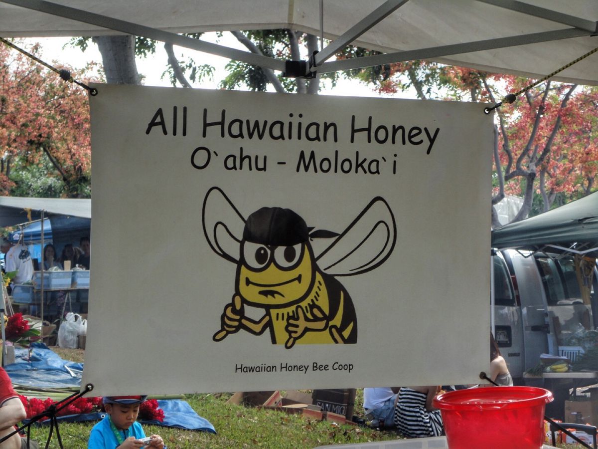 9th Jul. 2011 pic📷
in KCC Farmers Mar...