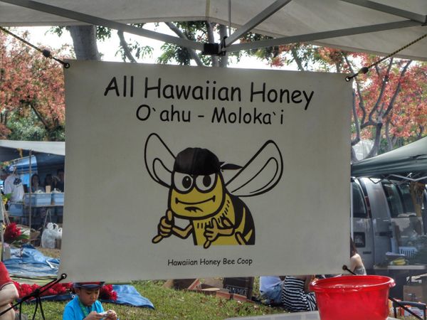 アメリカ(米国)・ハワイ「Hawaii🍍🌺👙女子旅👭」の写真：9th Jul. 2011 pic📷
i...