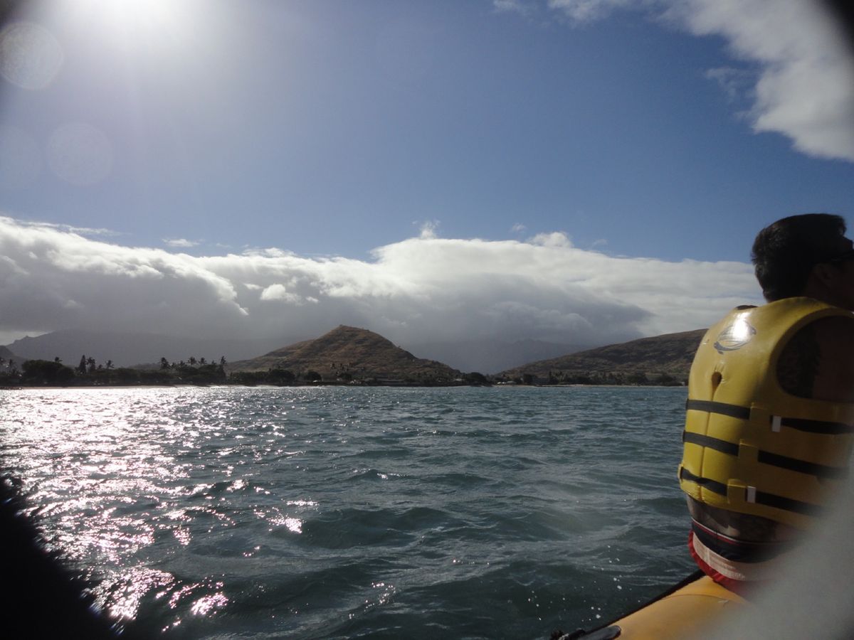 7th Jul.  2011 pic📷
Dolphin swim tour...