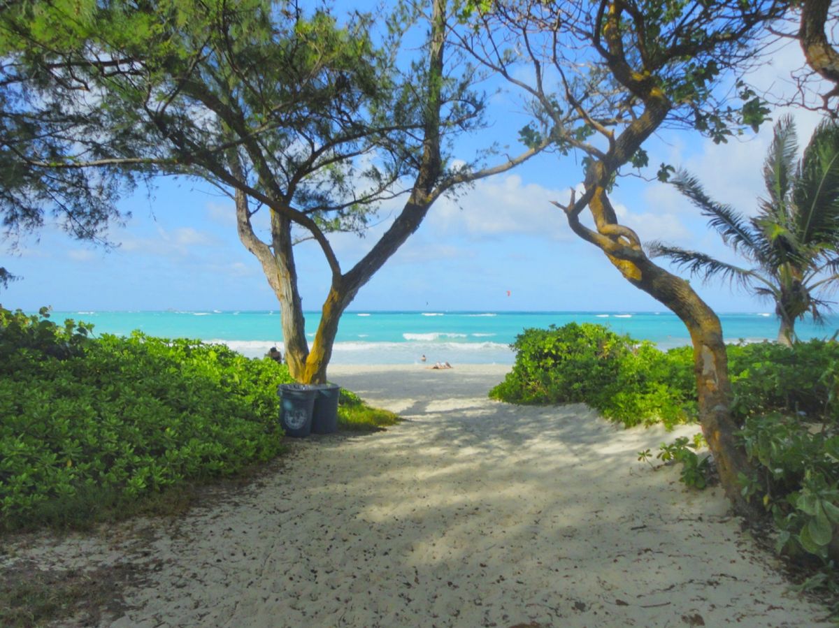 8th Jul. 2011 pic📷
ノースショアから時計回りで帰る途中に...