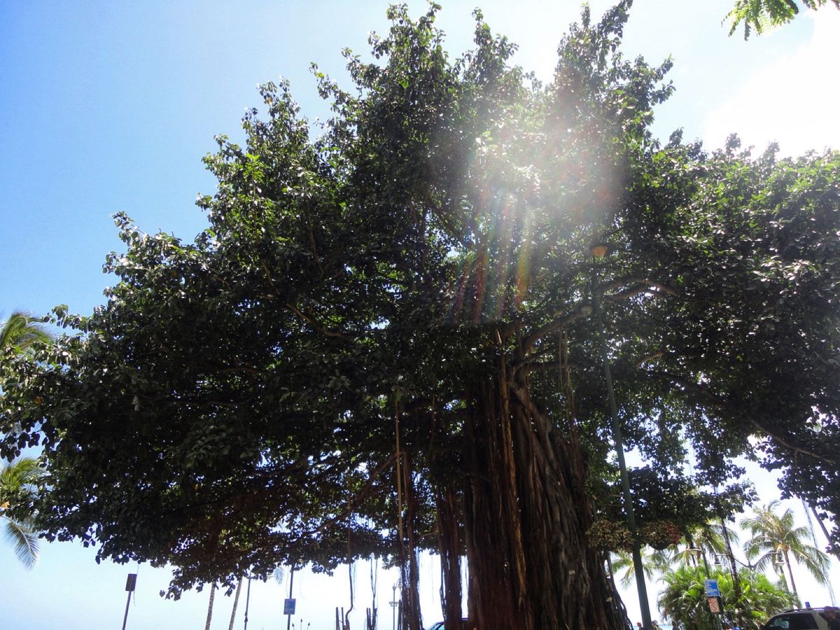 7th Jul. 2011 pic📷
カメラ持ってお散歩~👣👣