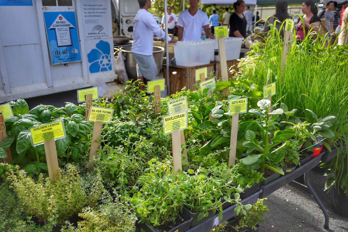 9th Jul. 2011 pic📷
in KCC Farmers Mar...