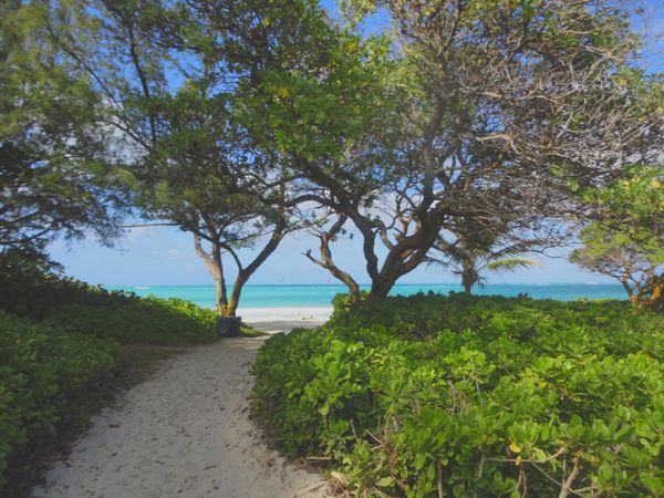 アメリカ(米国)・ハワイ「Hawaii🍍🌺👙女子旅👭」の写真：8th Jul. 2011 pic📷
ノ...