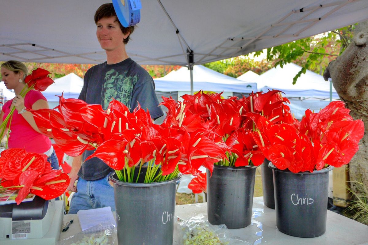 9th Jul. 2011 pic📷
in KCC Farmers Mar...