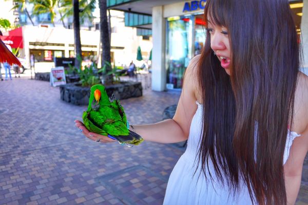 アメリカ(米国)・ハワイ「Hawaii🍍🌺👙女子旅👭」の写真:9th Jul. 2011 pic📷
歩...