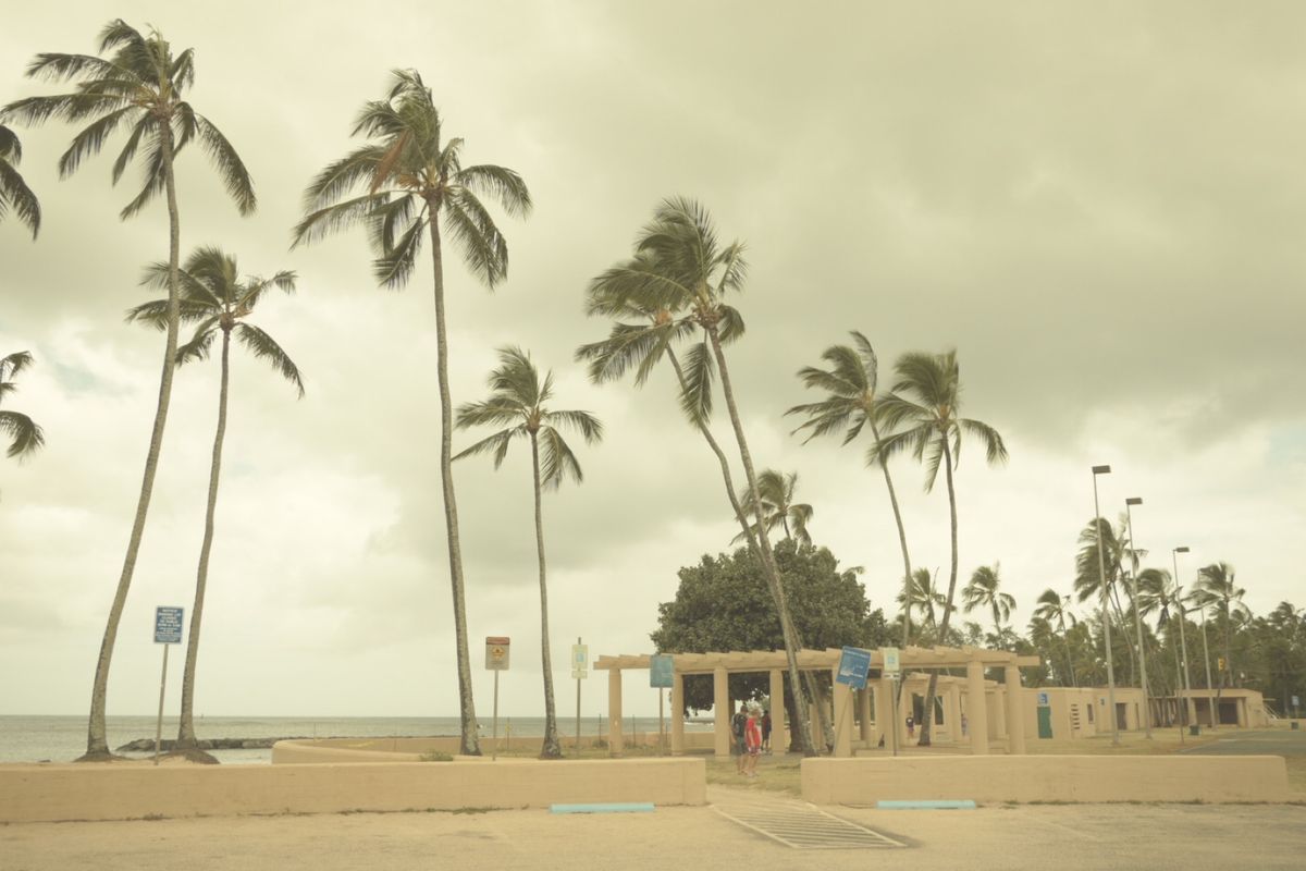 8th Jul. 2011 pic📷
途中休憩〜🌴🌴🌴
ハワイのナンバープ...