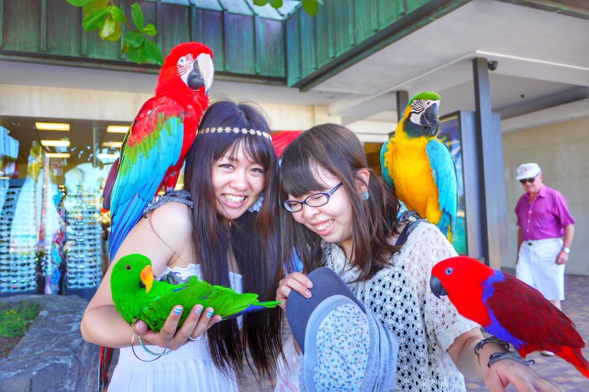 9th Jul. 2011 pic📷
歩いていたら突然知らないおじさんか...