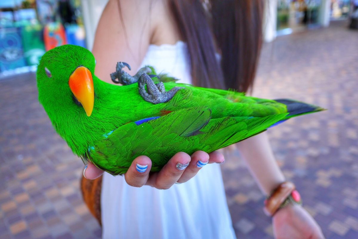 9th Jul. 2011 pic📷
歩いていたら突然知らないおじさんか...