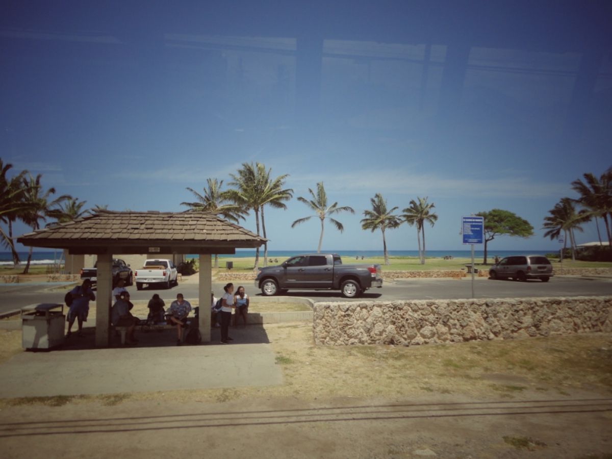 7th Jul.  2011 pic📷
Dolphin swim tour...