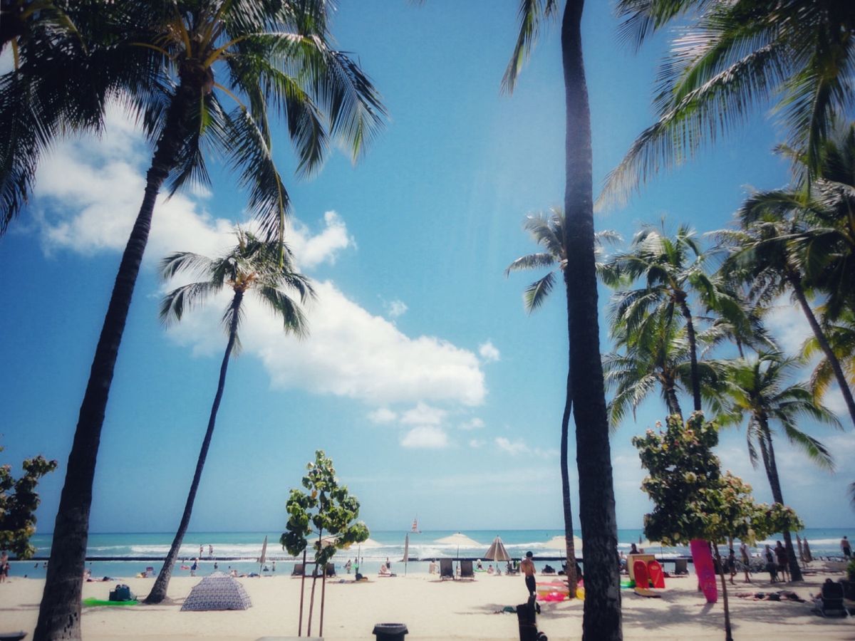 7th Jul. 2011 pic📷
カメラ持ってお散歩~👣👣