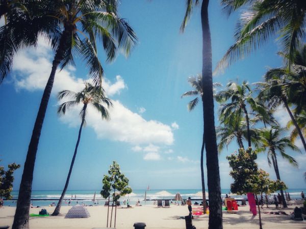 アメリカ(米国)・ハワイ「Hawaii🍍🌺👙女子旅👭」の写真：7th Jul. 2011 pic📷
カ...