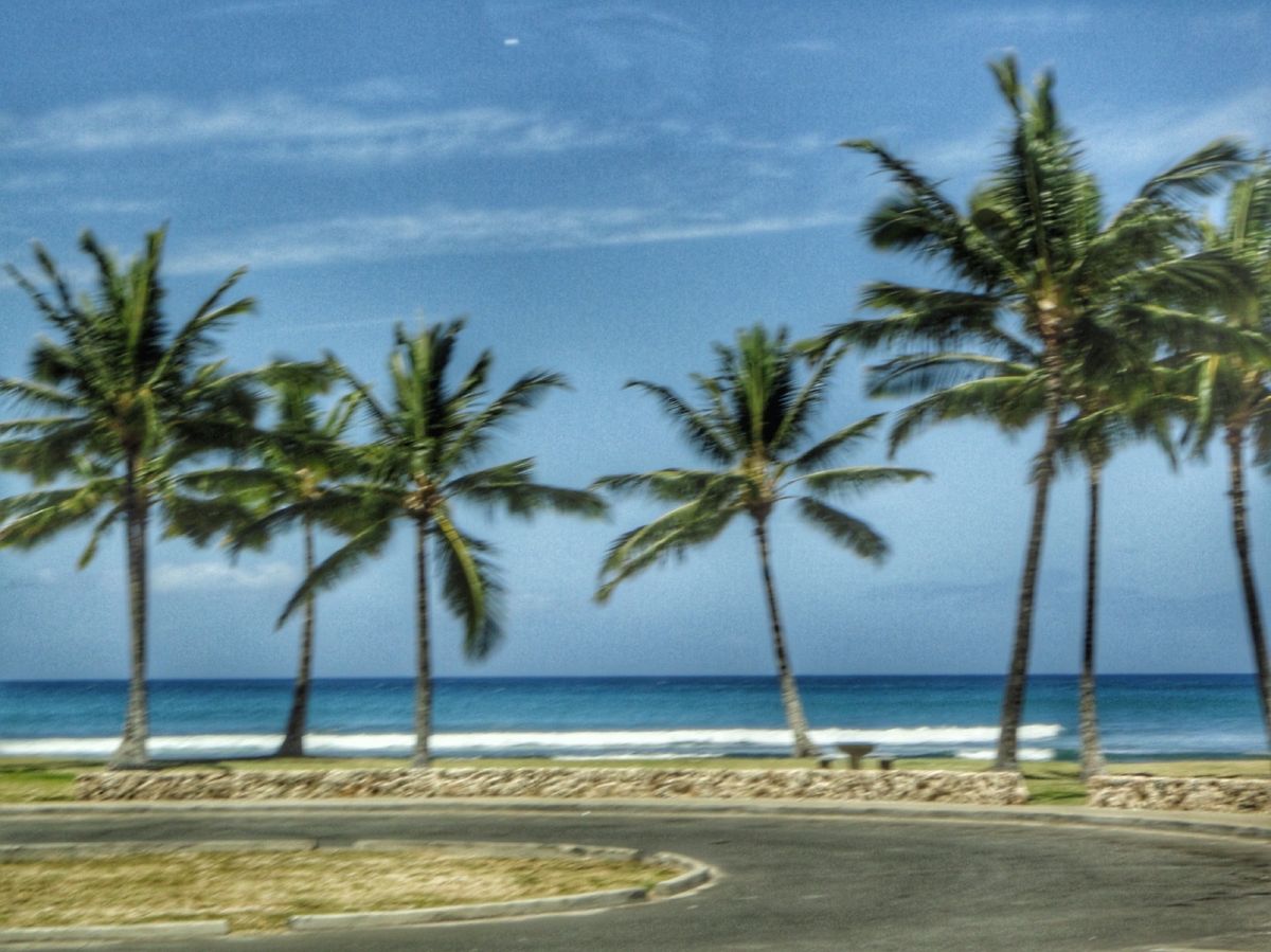 7th Jul.  2011 pic📷
Dolphin swim tour...