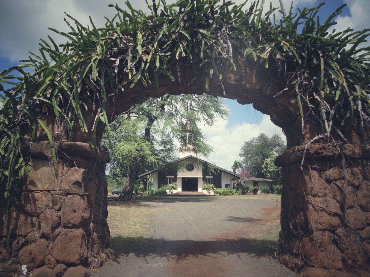 8th Jul. 2011 pic📷
⛪❁✾❁︎🛶✨