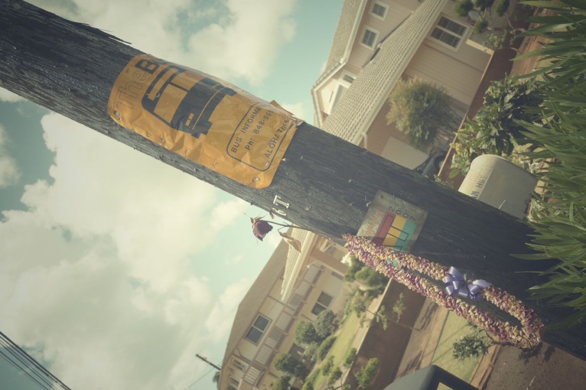 8th Jul. 2011 pic📷
⛪❁✾❁︎🛶✨