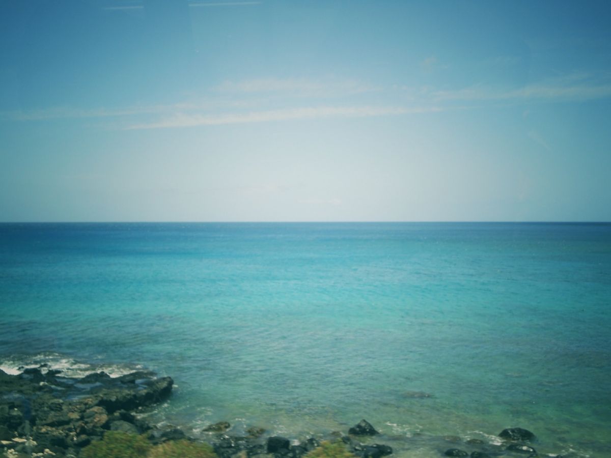 7th Jul.  2011 pic📷
Dolphin swim tour...