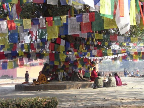 ネパール・カトマンズ「ネパール放浪」の写真