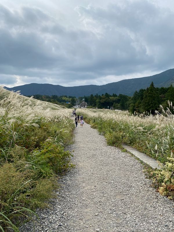 日本「箱根」の写真：ハイアットに宿泊してのんびり。仙石原のス...
