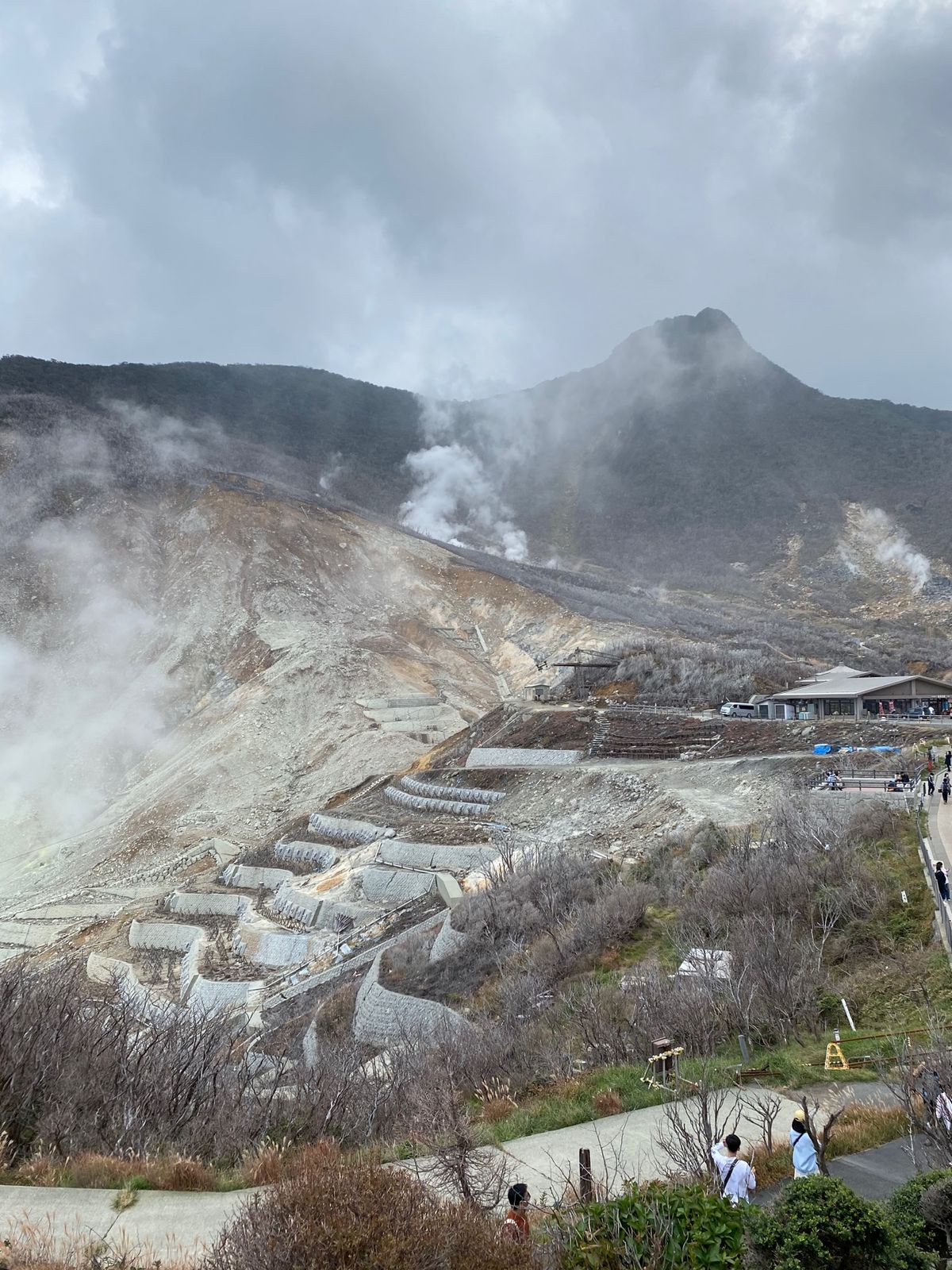 ハイアットに宿泊してのんびり。仙石原のススキが白く輝いている。
