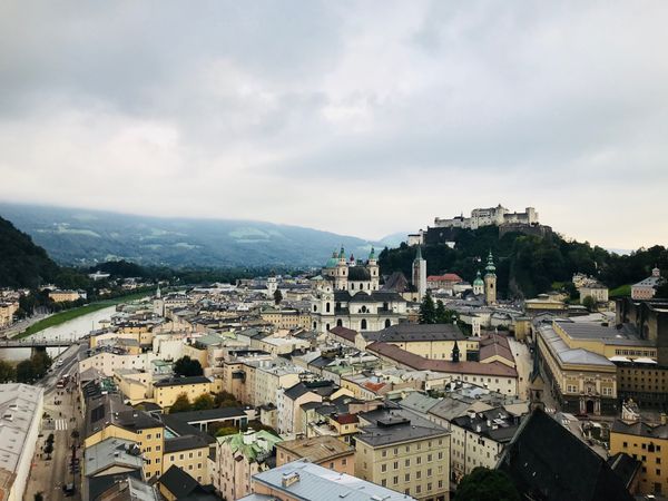 オーストリア・ウィーン「オーストリア」の写真：お決まりのホテルザッハーのザッハートルテ...