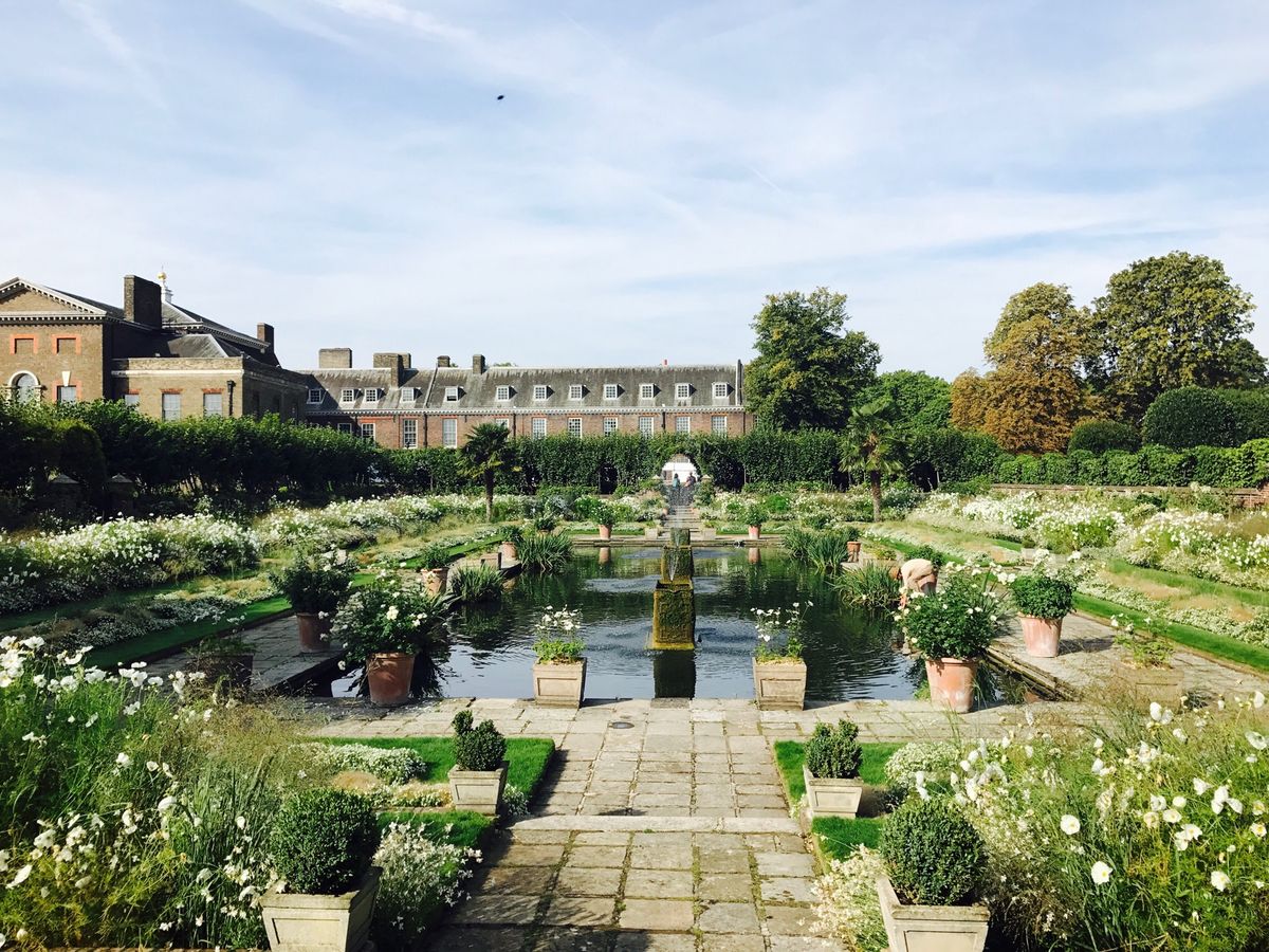 ケンジントン宮殿⭐️
たくさんのリスに会いました。