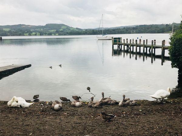 イギリス(英国)・ロンドン「エディンバラ〜イギリス」の写真