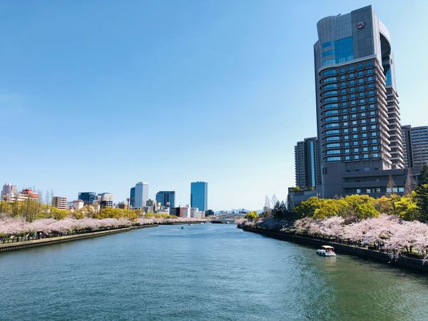 日本・大阪「帝国ホテル大阪　」の写真