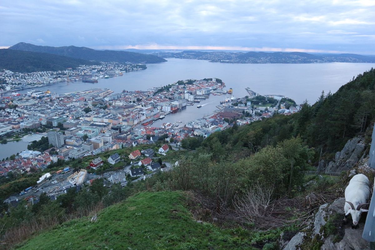 フロム鉄道
ベルゲン
