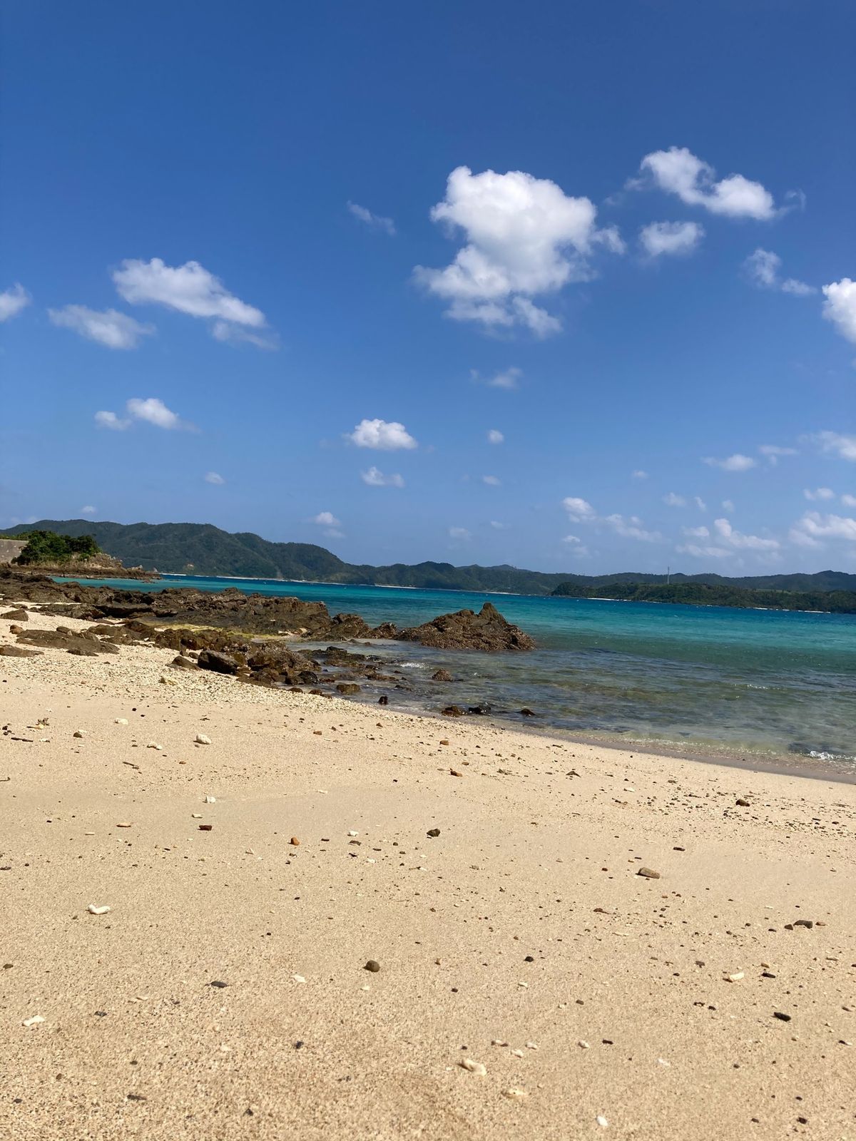 ２日目、倉崎海岸でシュノーケル🤿
ヤドカリの宿が狭い件