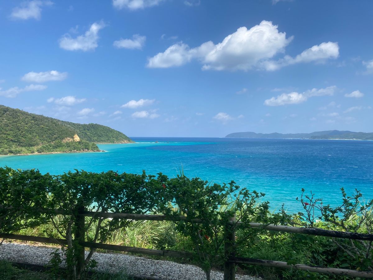 ２日目、倉崎海岸でシュノーケル🤿
ヤドカリの宿が狭い件