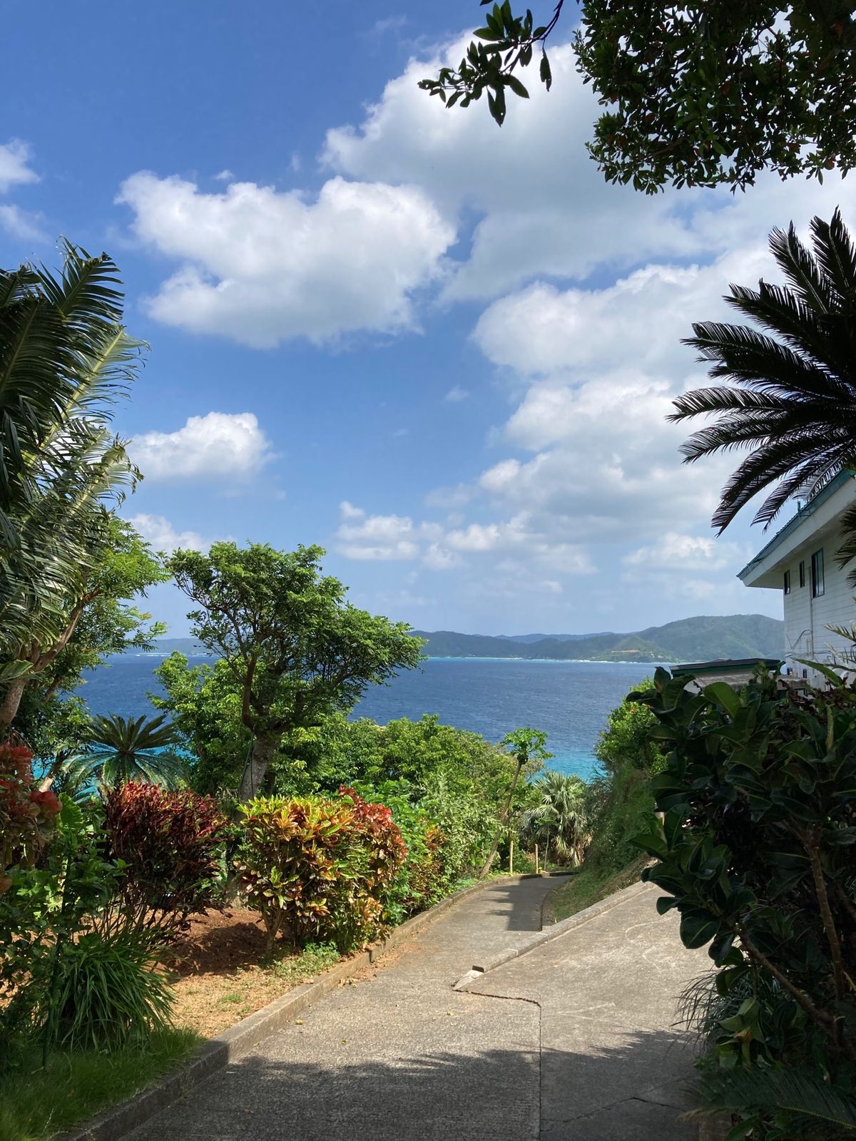 ２日目、倉崎海岸でシュノーケル🤿
ヤドカリの宿が狭い件