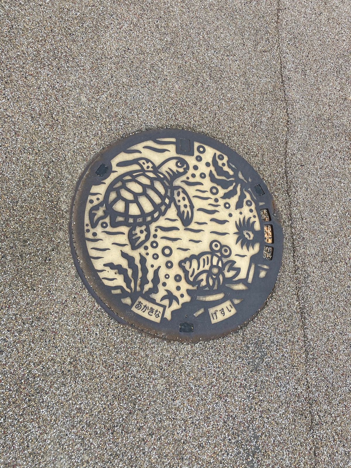 ３日目、台風が近づいているらしいけど晴れ。みなとやで最後の鶏飯🐓