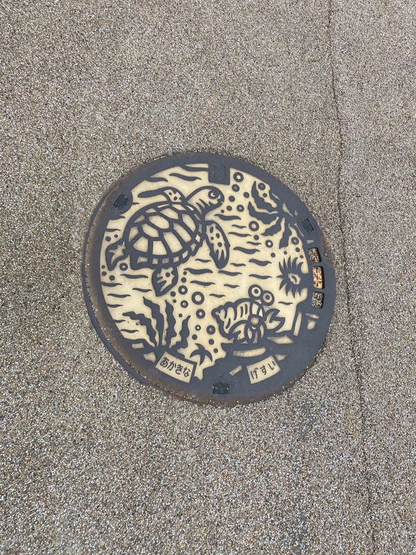 日本・奄美大島「奄美大島」の写真：３日目、台風が近づいているらしいけど晴れ...