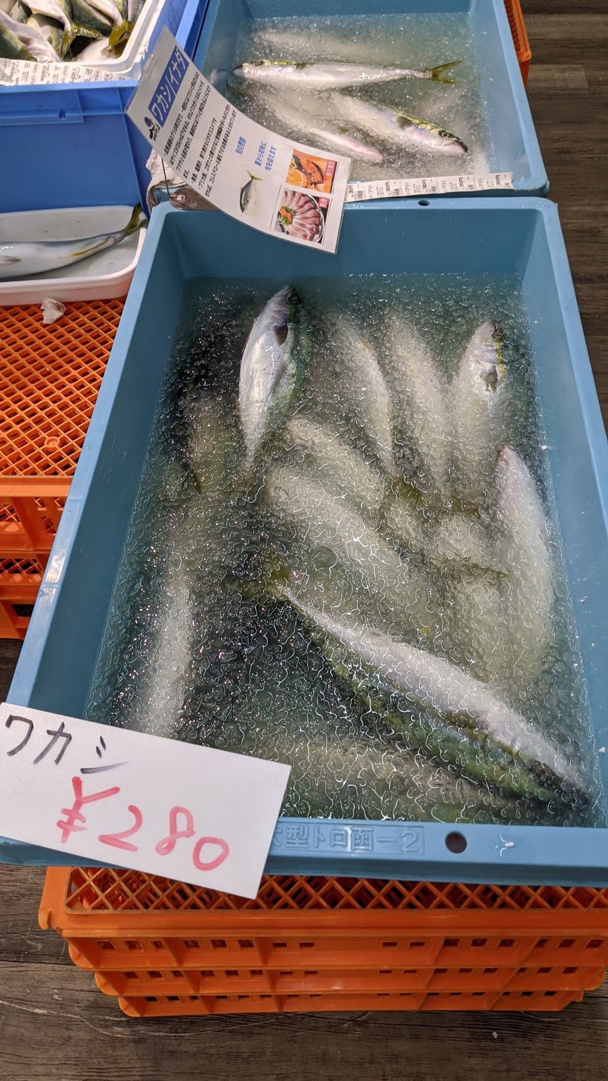 朝ごはん。
漁港で買ったワカシ（280円）と、
朝市で買ったミンククジラ（...