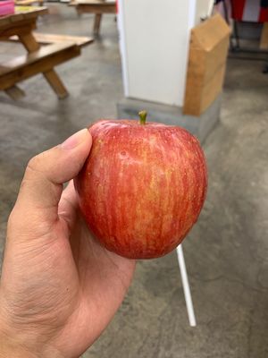 りんこの価格は普通だった
味も同じ
当たり前か