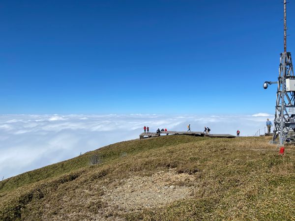 日本・徳島「かずら橋と剣山」の写真：山頂に到着！！