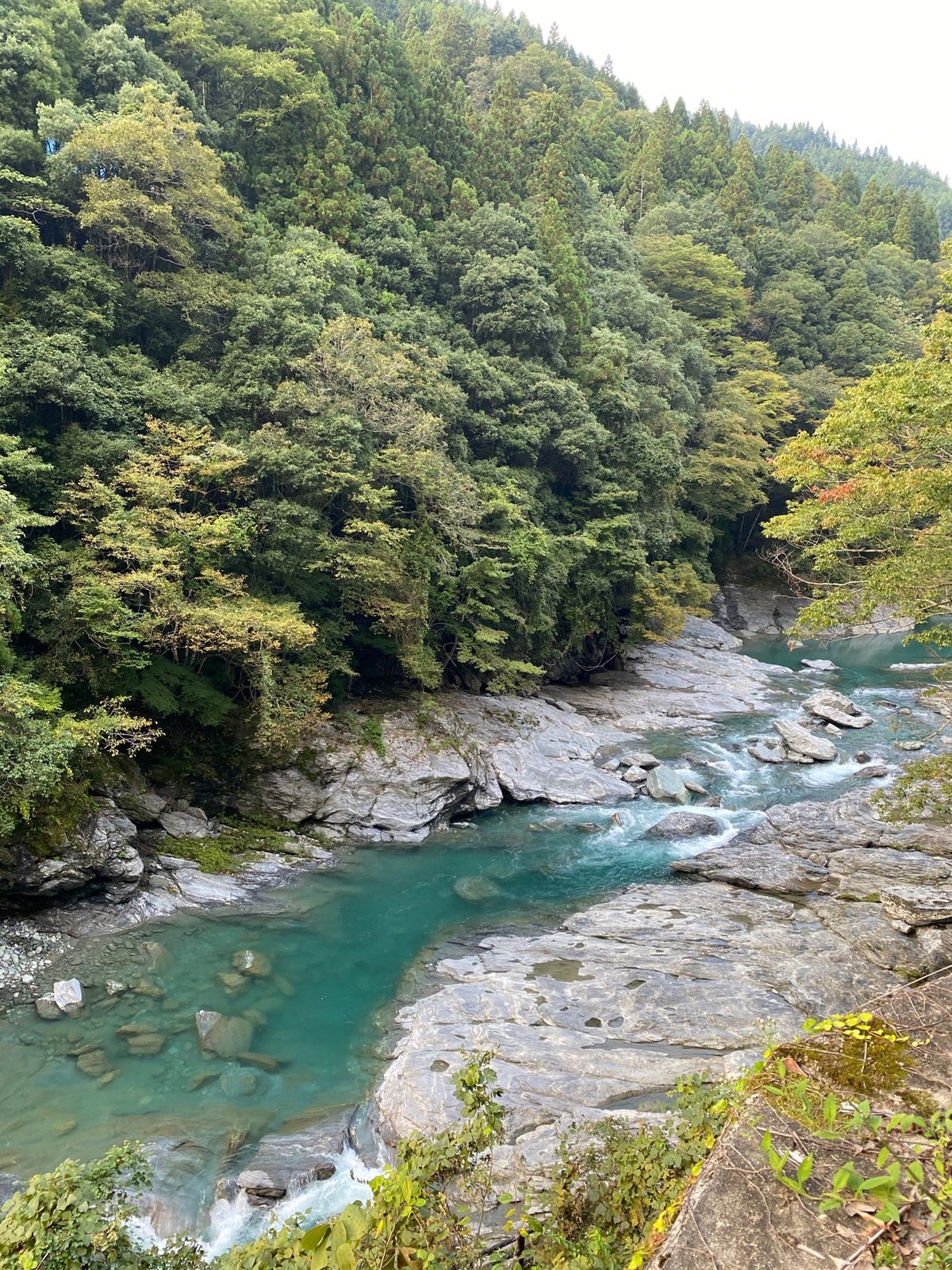 かずら橋へ

めっちゃ怖い！笑

そしてここの川も鮮やかなグリーン

徳島...