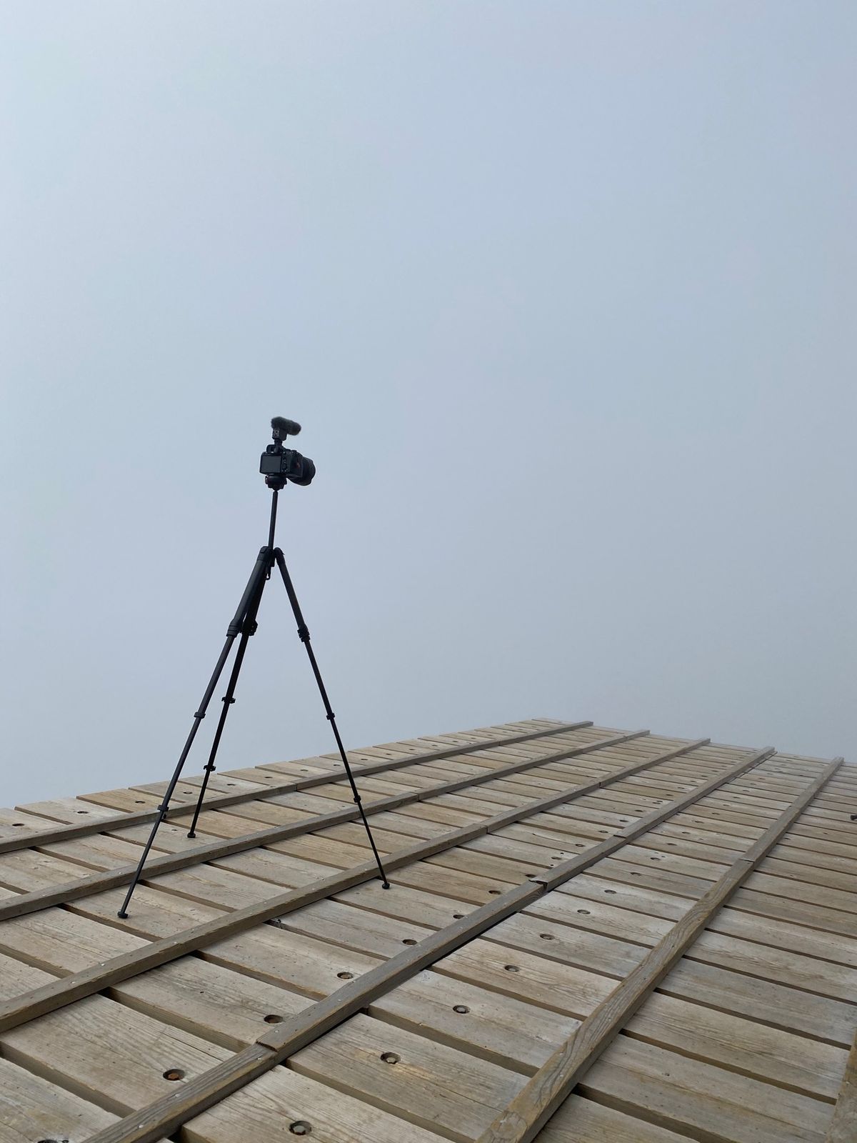 カメラをセットしたらこれ笑

帰ります