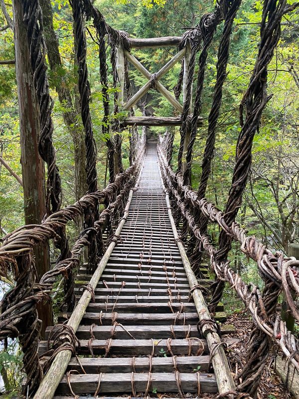 日本・徳島「かずら橋と剣山」の写真：帰りに二重かずら橋へ

川辺でドローン飛...