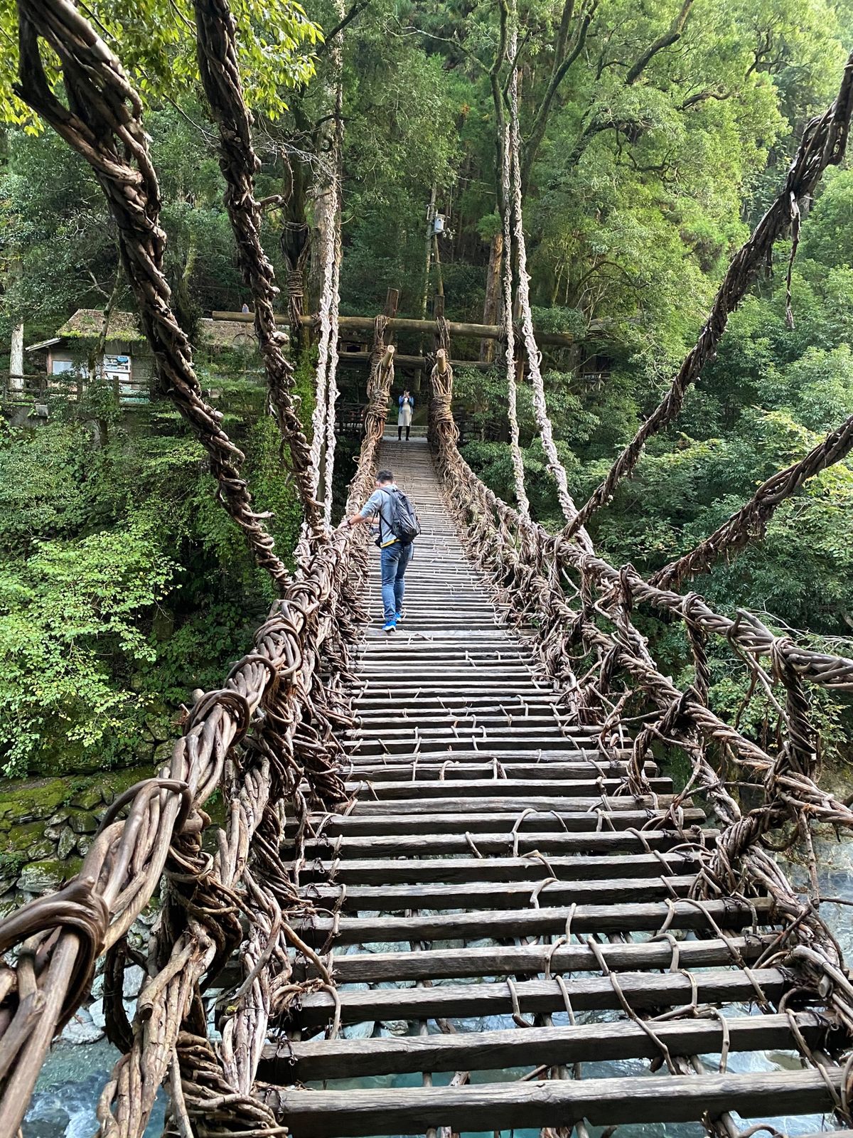 かずら橋へ

めっちゃ怖い！笑

そしてここの川も鮮やかなグリーン

徳島...