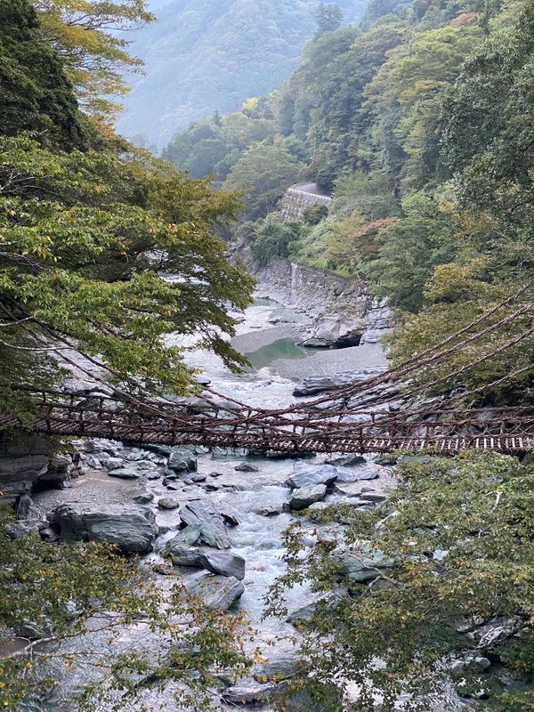 日本・徳島「かずら橋と剣山」の写真：朝のかずら橋
朝日は入らなかった！