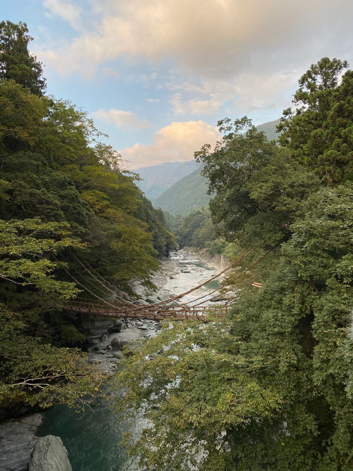 かずら橋へ

めっちゃ怖い！笑

そしてここの川も鮮やかなグリーン

徳島...