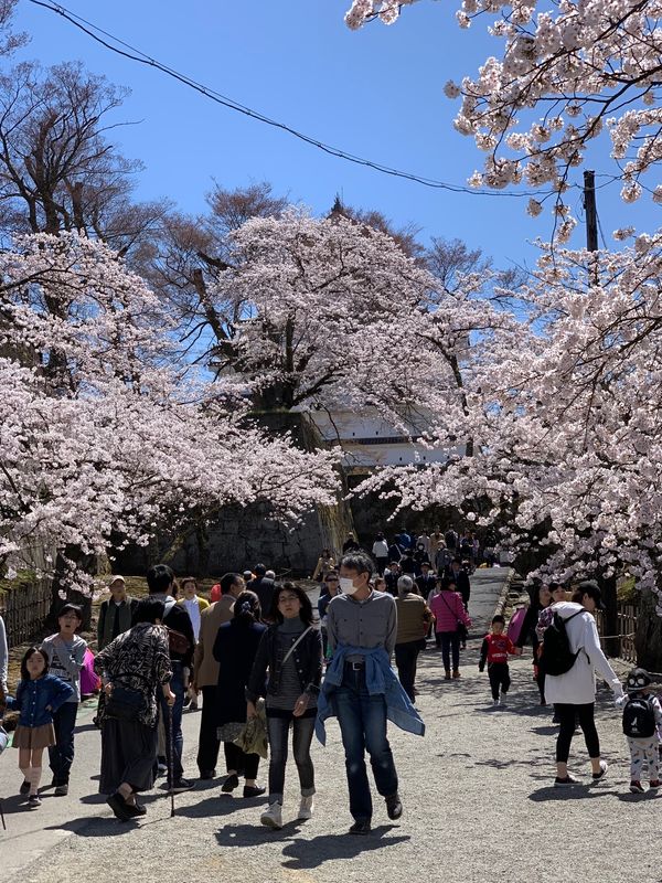 日本・猪苗代「福島温泉旅2019」の写真