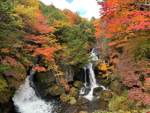 日本・日光「🙈🙊🙉」の写真